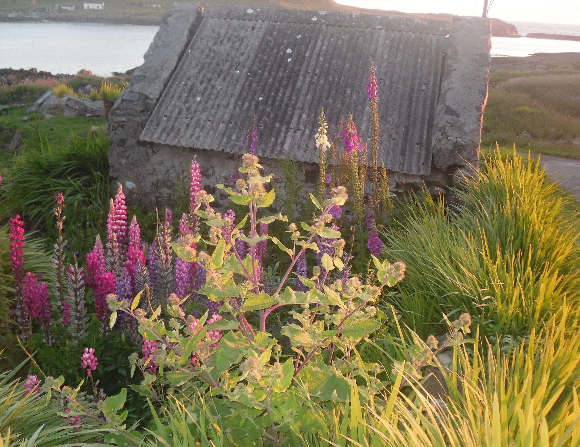 Burnside Lodge Portnahaven Exterior foto